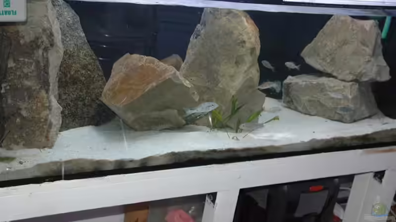 Aquarium Becken 91 von Simon Delgardo (2)