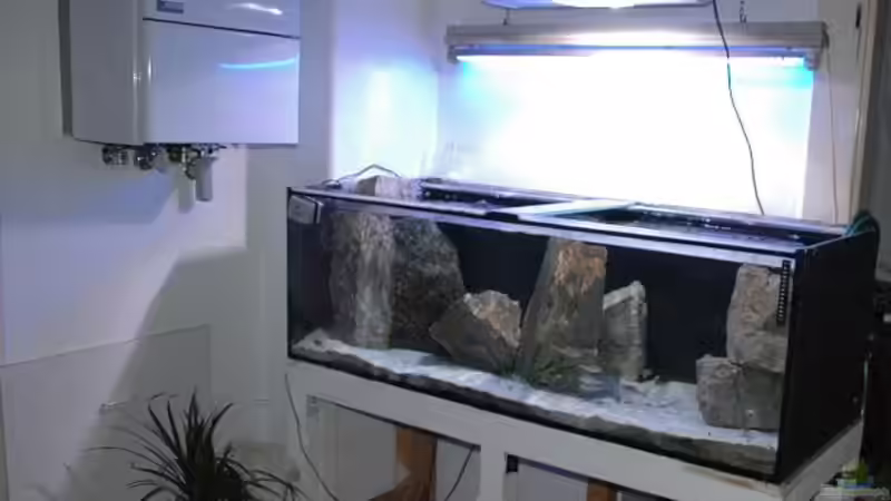 Aquarium Becken 91 von Simon Delgardo (4)