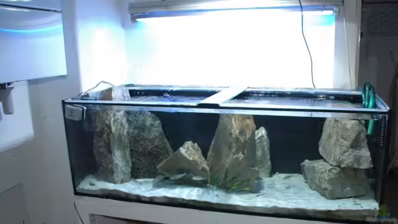 Aquarium Becken 91 von Simon Delgardo (5)