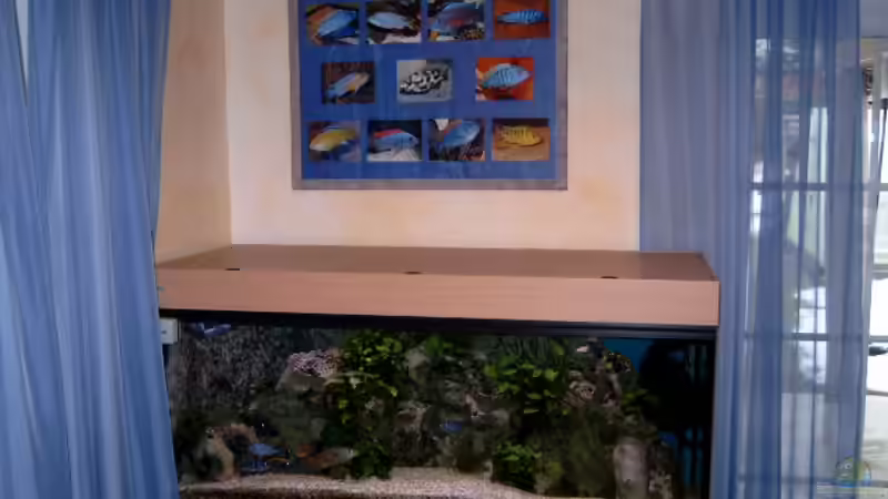 Aquarium Becken 910 von Josef Knauer (2)