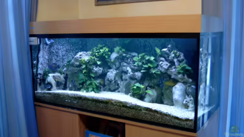 Aquarium Becken 910 von Josef Knauer (3)