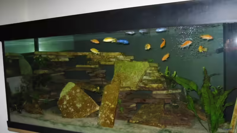 Aquarium Becken 9143 von Dennis Eick (2)