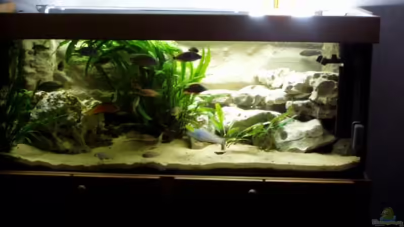 Aquarium Becken 915 von Sven Busch (2)