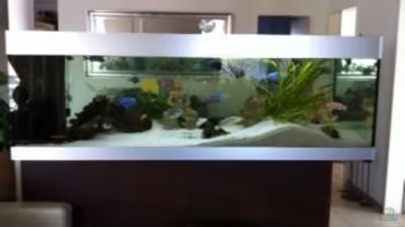 Aquarium Becken 9198 von Jennifer Clee (17)