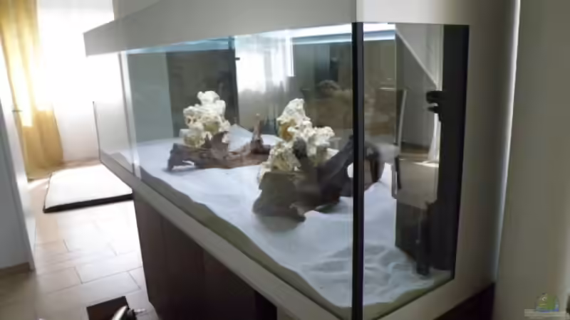 Aquarium Becken 9198 von Jennifer Clee (3)