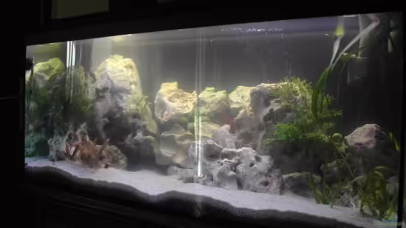 Aquarium Becken 940 von Hartmut Lauterbach (2)