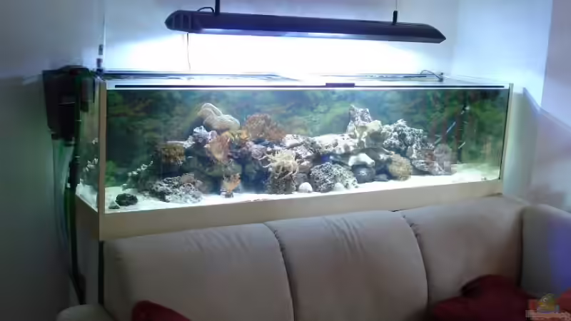 Aquarium Becken 9400 von Mario Dorner (5)