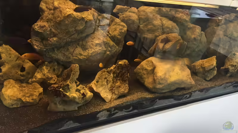 Aquarium Becken 9414 von Benjamin Dietl (2)