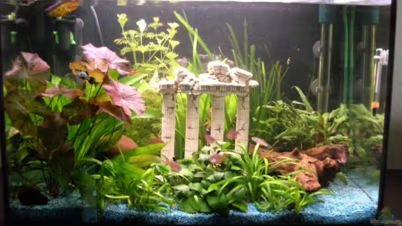 Aquarium Becken 9450 von To Be (2)