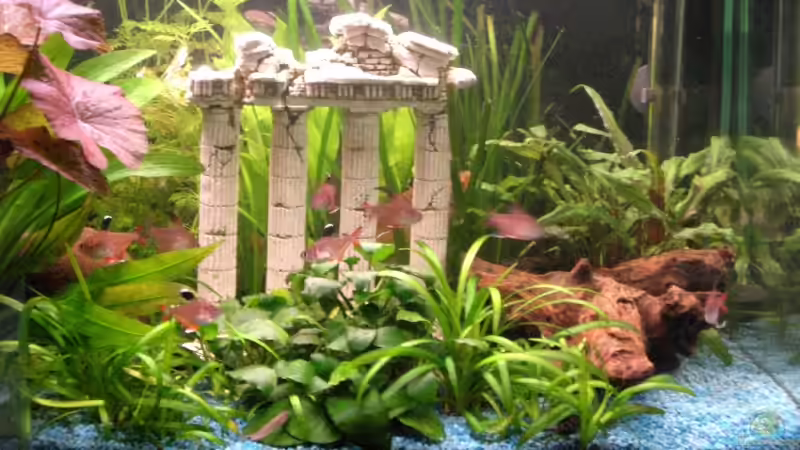 Aquarium Becken 9450 von To Be (3)