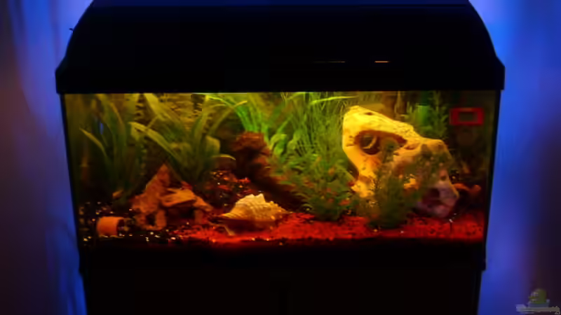 Aquarium Becken 9453 von MMD (3)