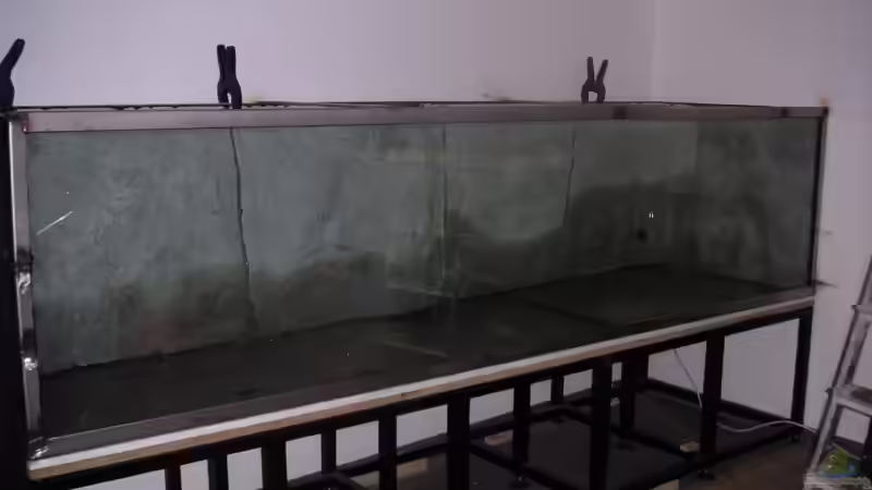 Aquarium Becken 9459 von malawi-fish (4)