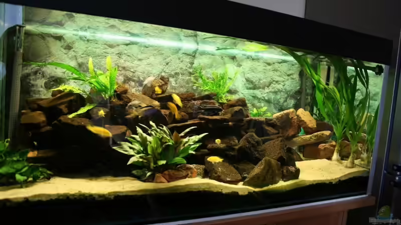 Aquarium Becken 9464 von babs79 (2)