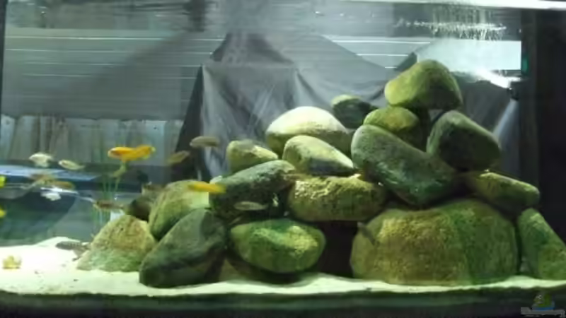 Aquarium Becken 9505 von Hans Schmucker (2)