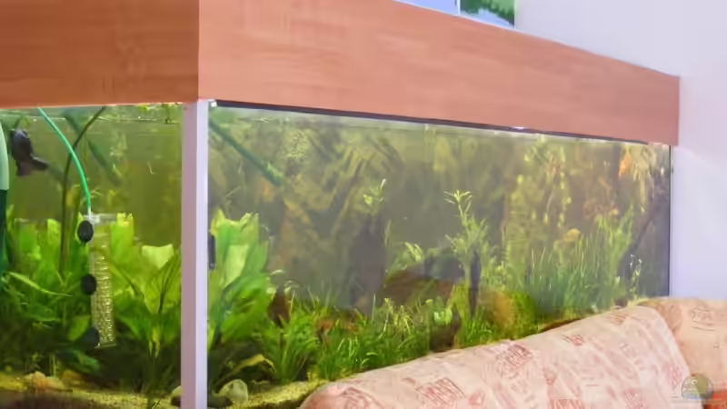 Aquarium Becken 9533 von Alex Weiß (2)