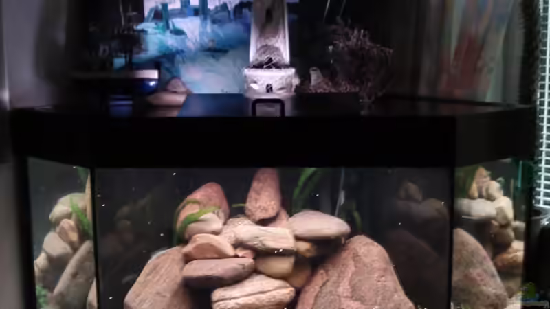 Aquarium Becken 9554 von axxlon (3)