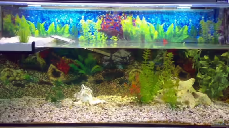 Aquarium Becken 9593 von Thomas Höppner (3)