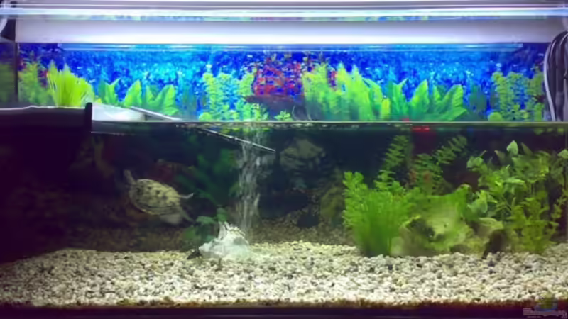 Aquarium Becken 9593 von Thomas Höppner (4)