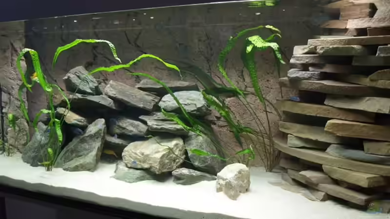 Aquarium Becken 9607 - Nur noch Beispiel! von Branjo (2)