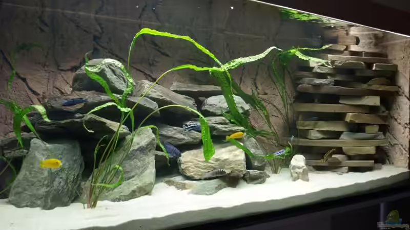 Aquarium Becken 9607 - Nur noch Beispiel! von Branjo (3)