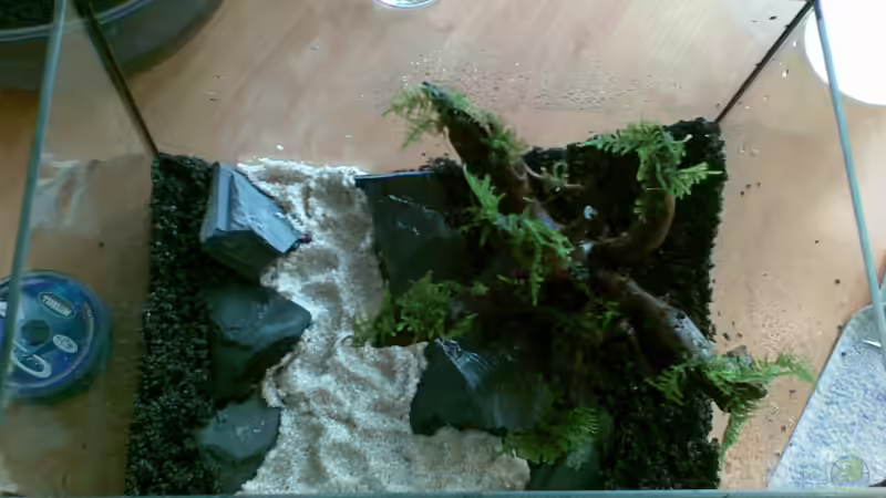 Aquarium Becken 9614 von Tino Laue (2)