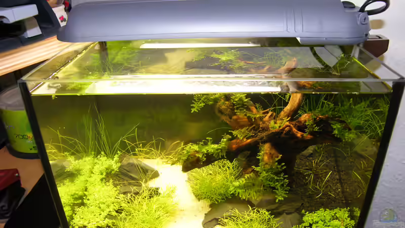 Aquarium Becken 9614 von Tino Laue (4)