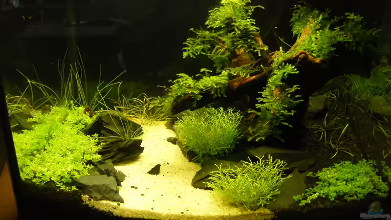 Aquarium Becken 9614 von Tino Laue (5)