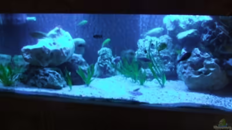 Aquarium Becken 9640 von winz21 (2)