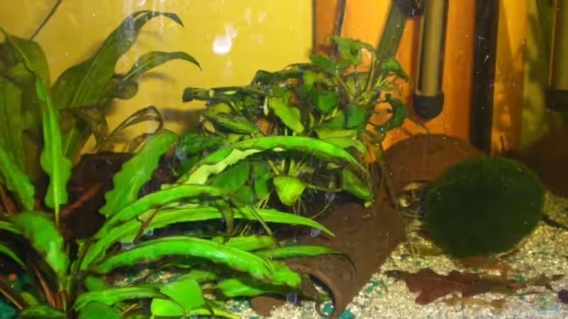 Aquarium Becken 9648 von elli (5)