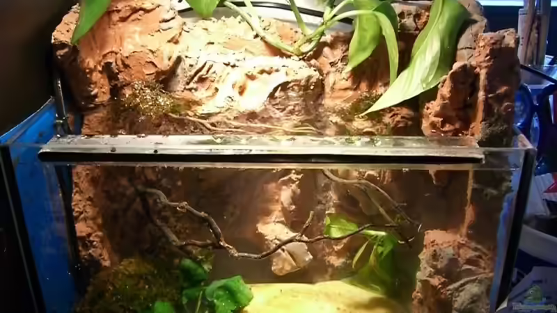 Aquarium Becken 9677 von Johannes (2)