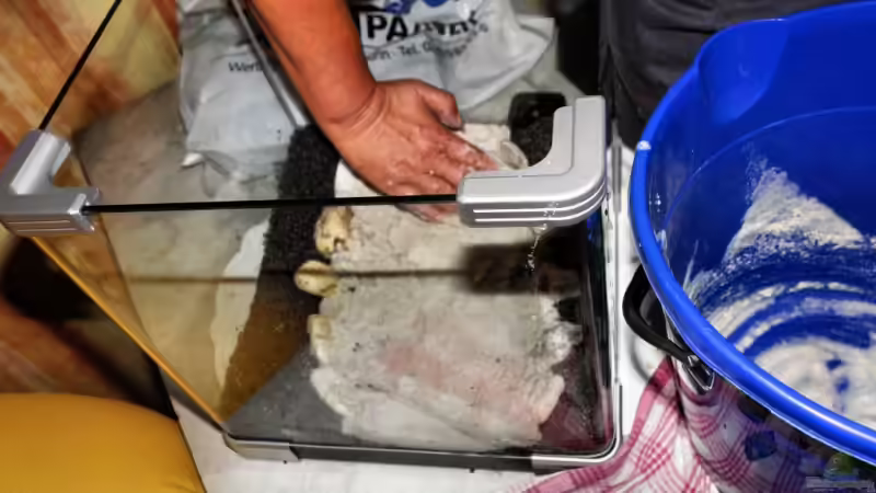 Aquarium Becken 9678 von WSS (4)