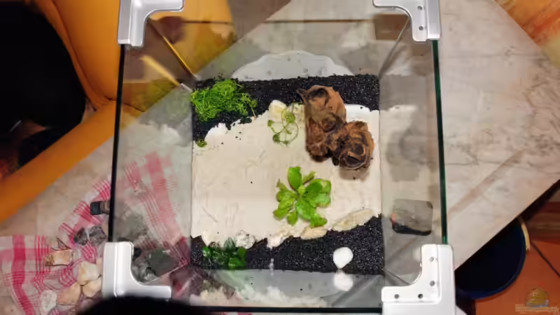 Aquarium Becken 9678 von WSS (6)