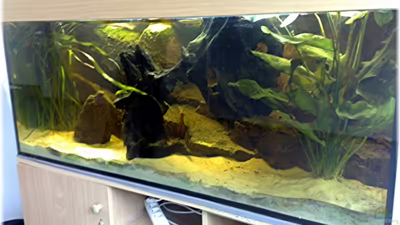 Aquarium Becken 9757 von Lorenz Graf (2)