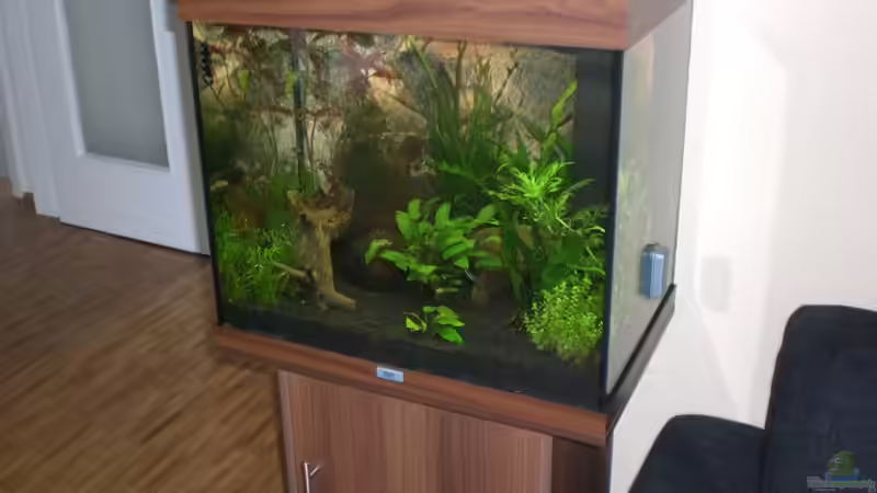 Aquarium Becken 9794 von Marcel Szesny (2)