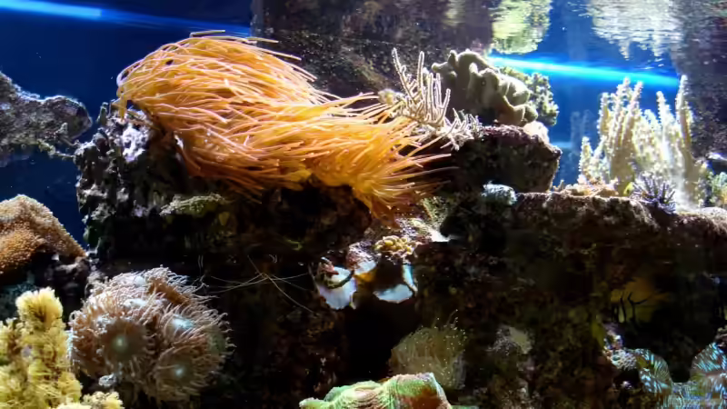 Aquarium Becken 9800 von Sveni (8)