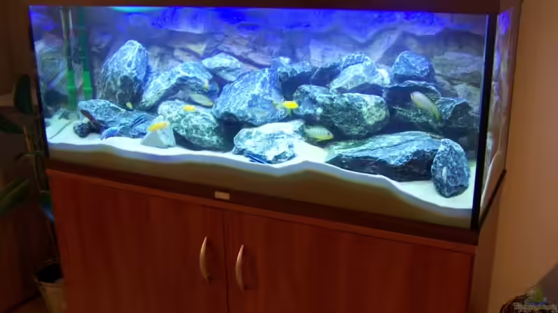 Aquarium Becken 9840 von FinalDragon (3)