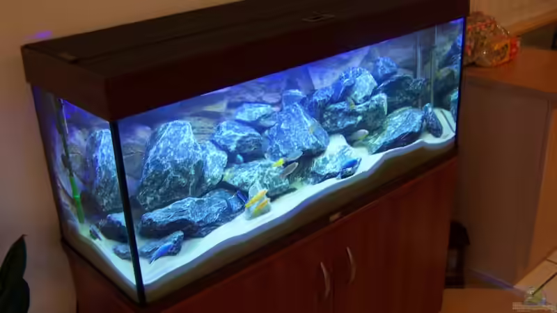 Aquarium Becken 9840 von FinalDragon (4)