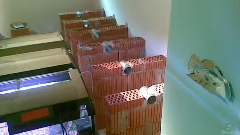 Aquarium Becken 9869 von Bastian Linsenmeier (3)