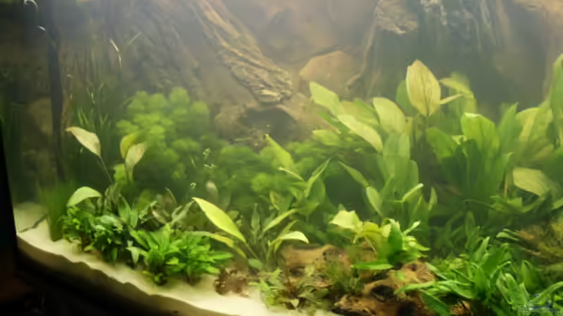 Aquarium Becken 988 von msp99 (2)