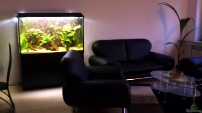 Aquarium Becken 9926 von Angelfish (3)