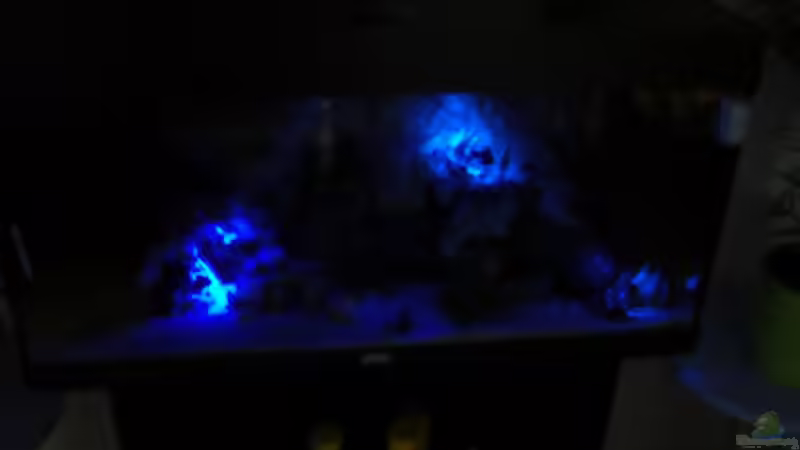 Aquarium Becken 9947 von Benjamin Heinemeyer (2)