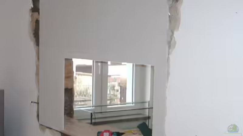 Aquarium Becken in Zimmerwand von Zwanni (6)