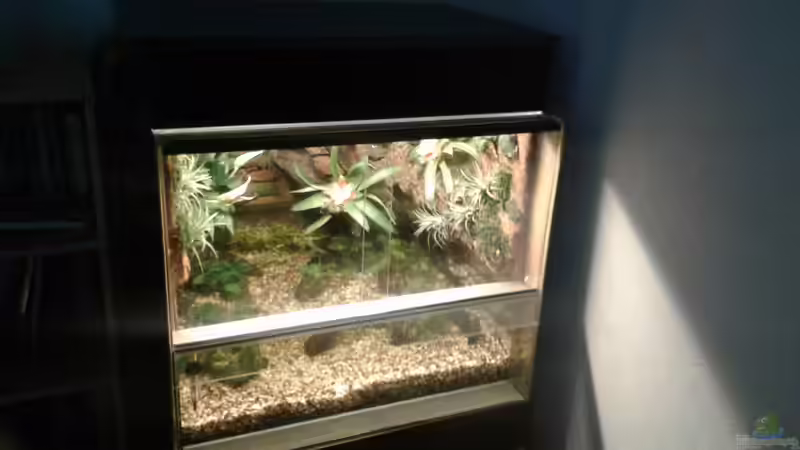 Aquarium Becken2 von wasserträger (2)