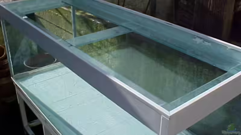 Aquarium bei ankauf 2 von Bert Teseling (3)