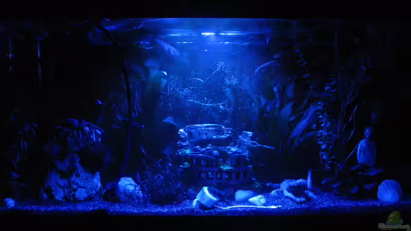 Aquarium bei Nacht mit Mondlicht! von -=[F.i.p.s.]=- (2)