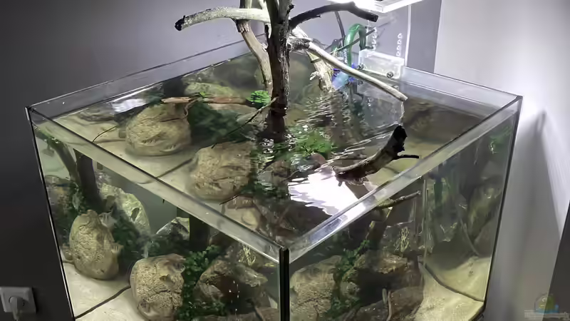 Aquarium Beton und Holz von Chris_R. (3)