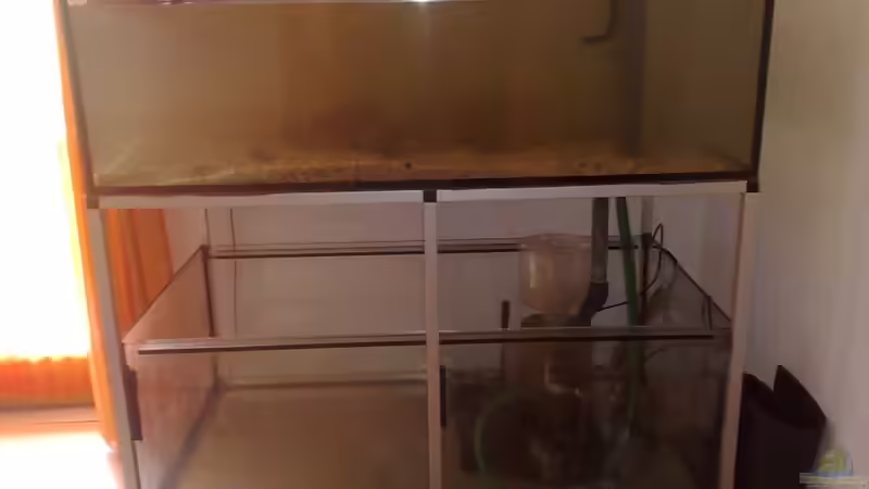 Aquarium BIKINI BOTTOM von Spongebob (4)