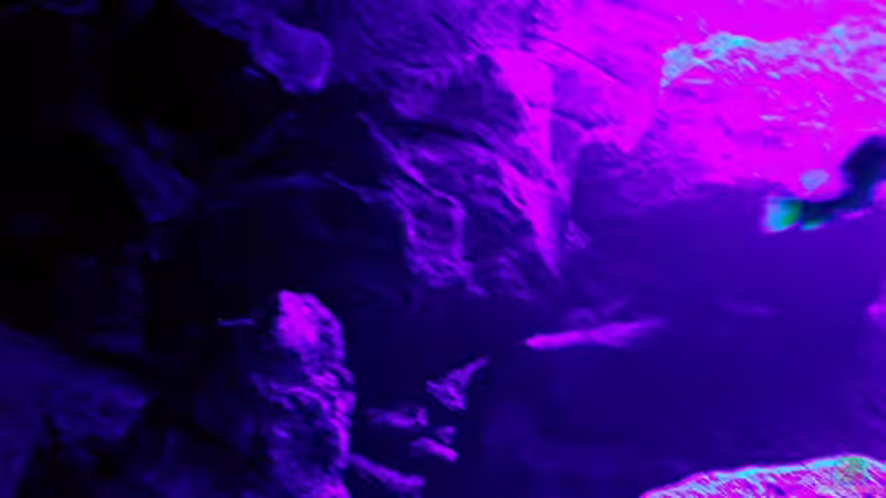 Aquarium Bilskirnir von T H O R (20)