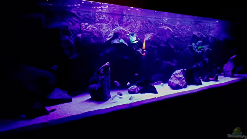 Aquarium Bilskirnir von T H O R (3)