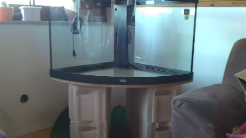 Aquarium Black Forest von Malphite (2)